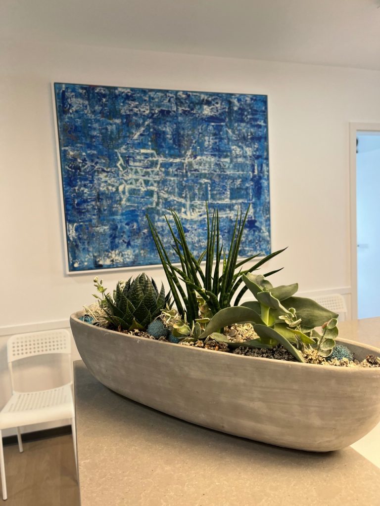 Blumentopf mit verschiedenen Pflanzen